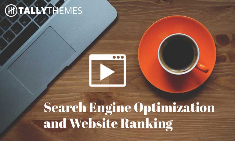 Search Engine Optimization and Website Ranking