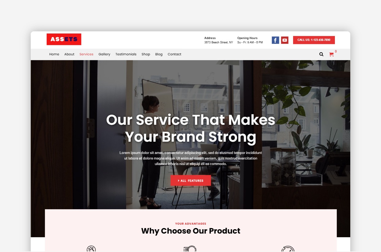 Multi Purpose WordPress Template