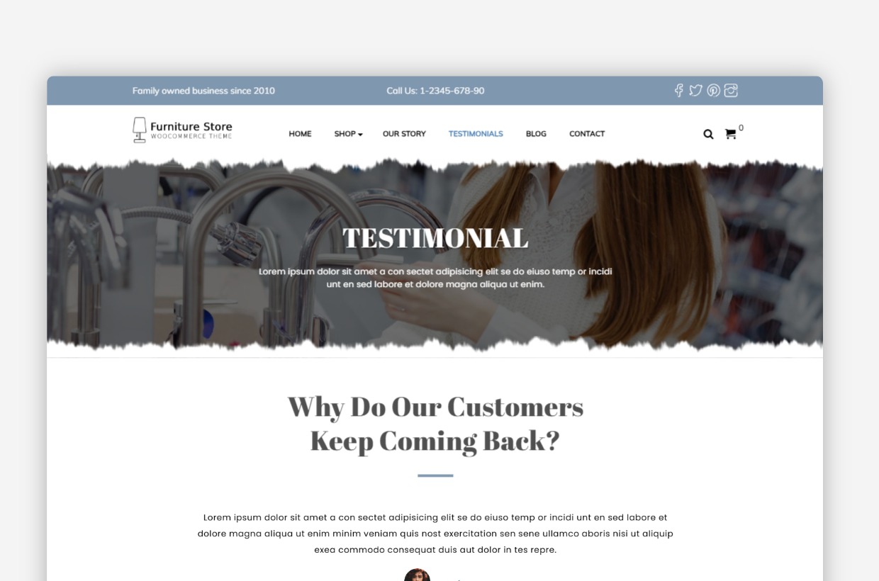 Furniture Store WordPress Template