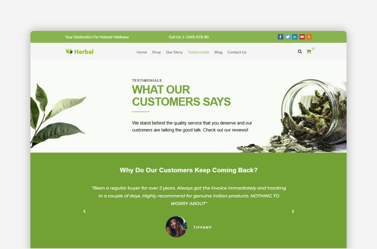 Organic Shop WP Template