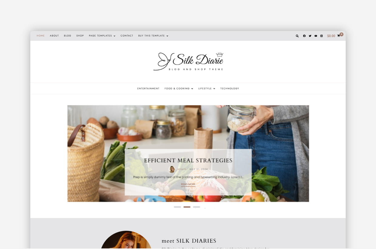 Silk Diaries - Responsive WordPress Blog Theme